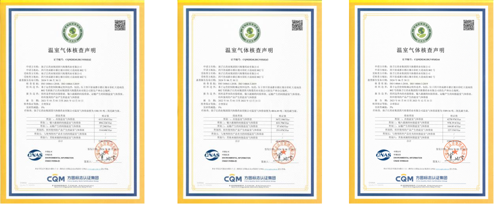 揚子江藥業(yè)集團四川海蓉藥業(yè)有限公司2021年-2024年碳排放核查數(shù)據(jù)公示